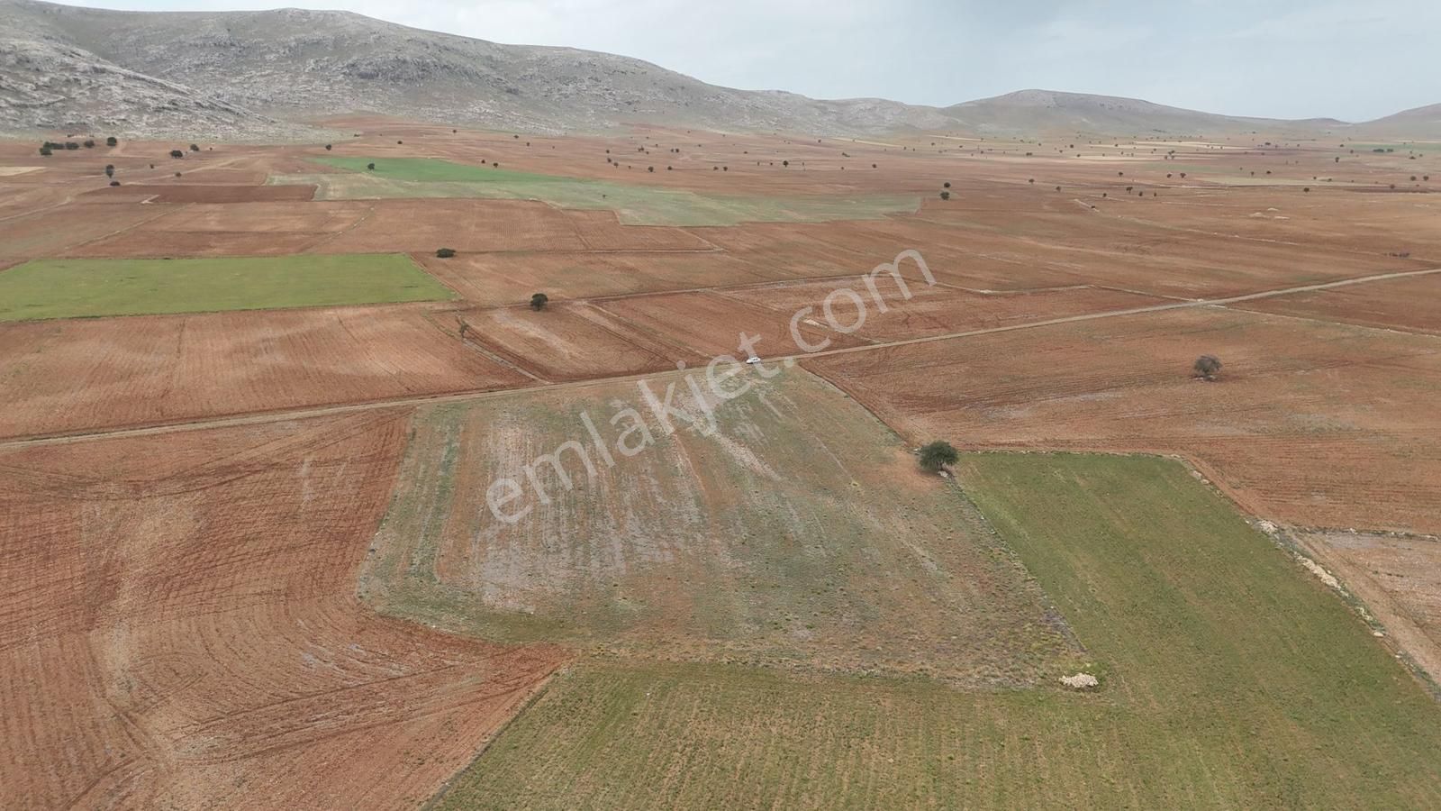 Meram Kayhüyükte 14.340 M² Müstakil Tapulu Dev Tarla Kaçmaz - Görsel 11