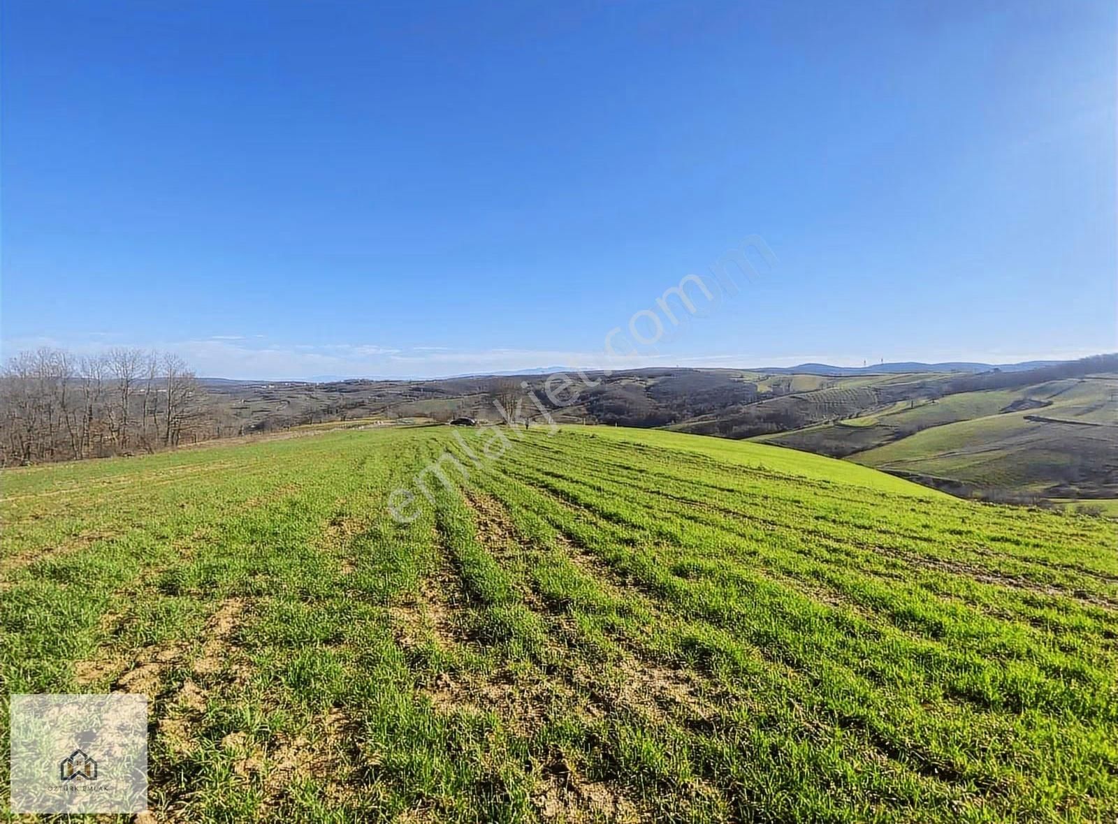 İzmit Kaynarcada 2823m2 Yolu Açık Doğa Manzaralı Tarla - Görsel 4