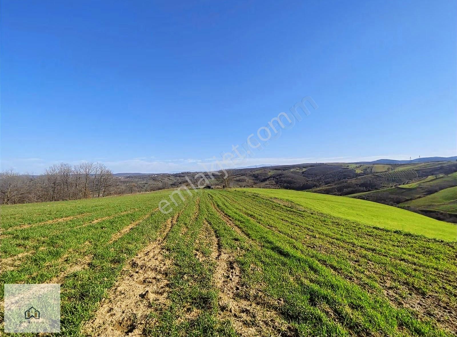 İzmit Kaynarcada 2823m2 Yolu Açık Doğa Manzaralı Tarla - Görsel 29