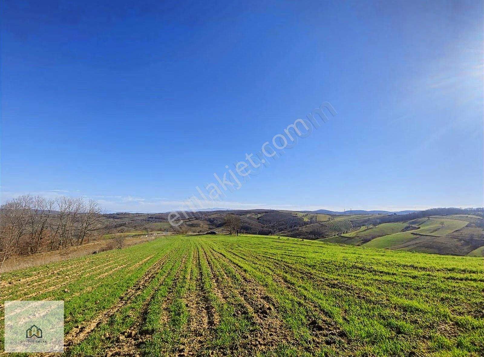 İzmit Kaynarcada 2823m2 Yolu Açık Doğa Manzaralı Tarla - Görsel 10