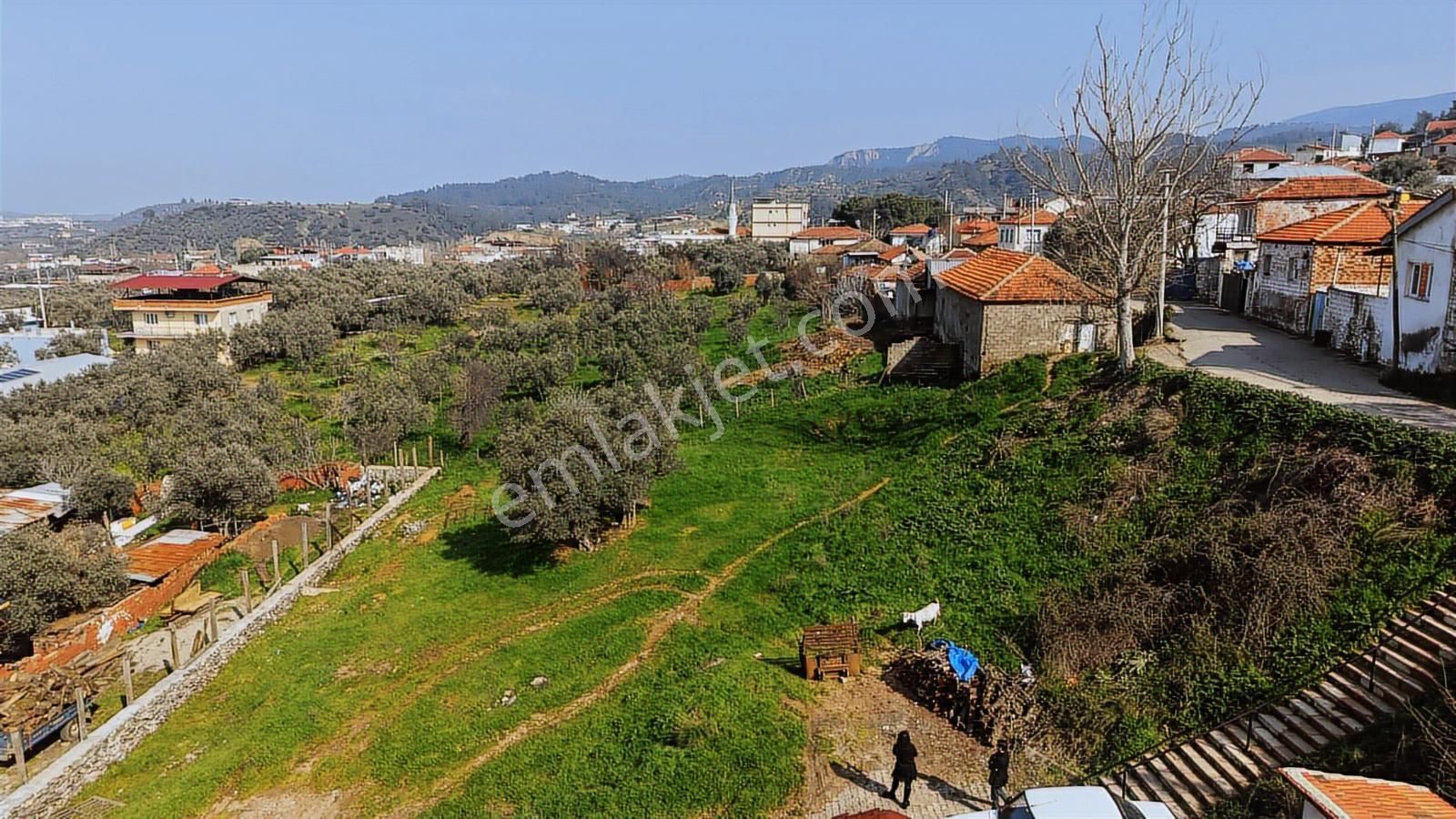 Kemalpaşa Sarılar Köyiçi 425 M² Tapulu Yolu Mevcut Bahçe - Görsel 5