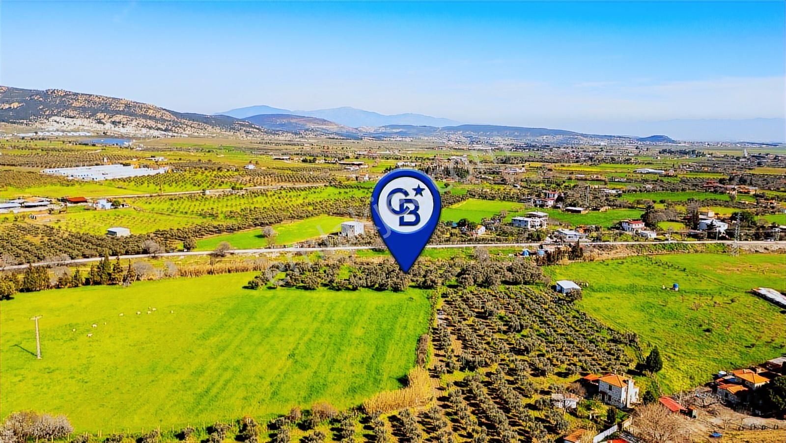 Foça Yenibağarası Mah. Satılık Tarla - Görsel 14