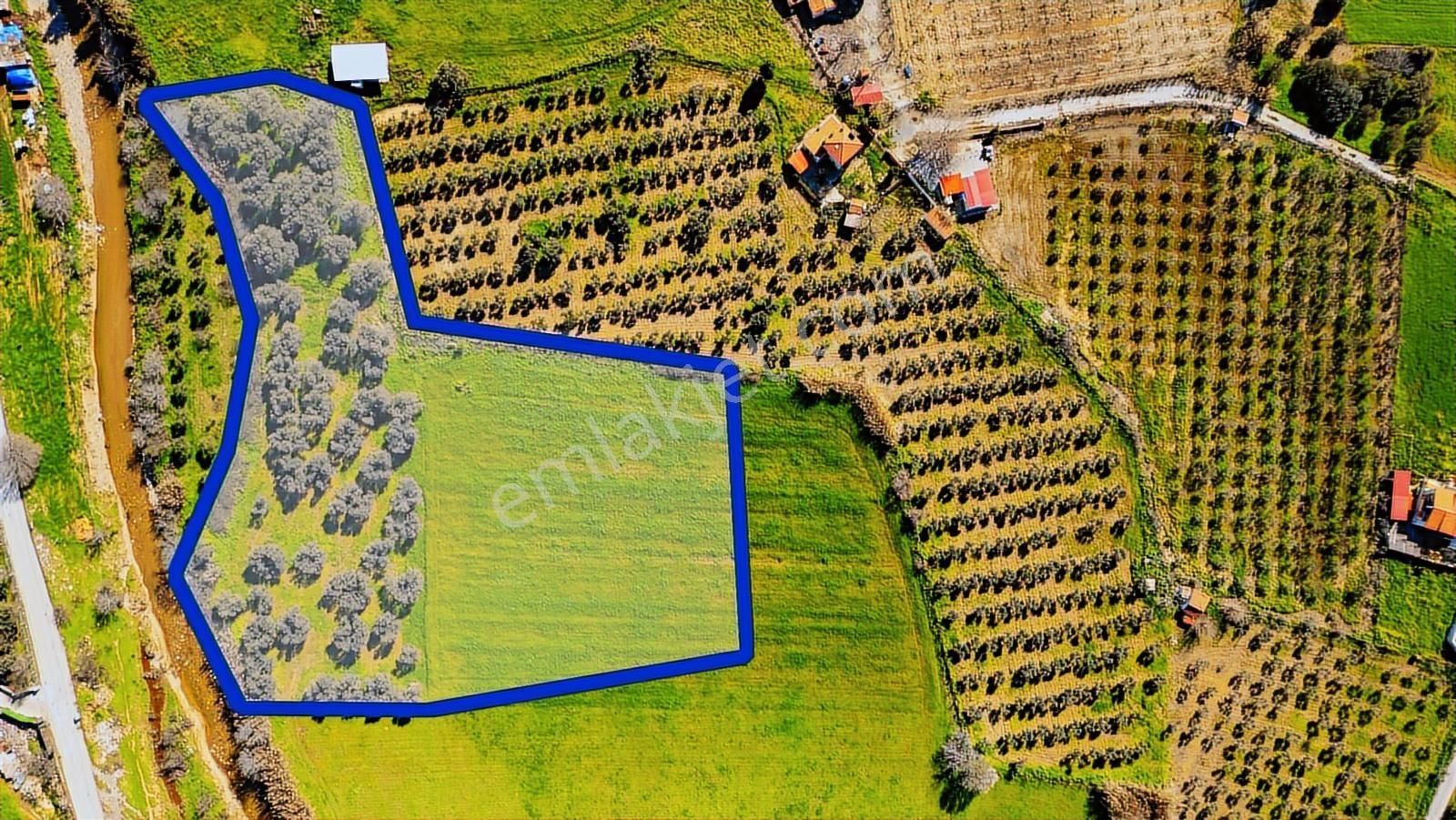 Foça Yenibağarası Mah. Satılık Tarla - Görsel 9