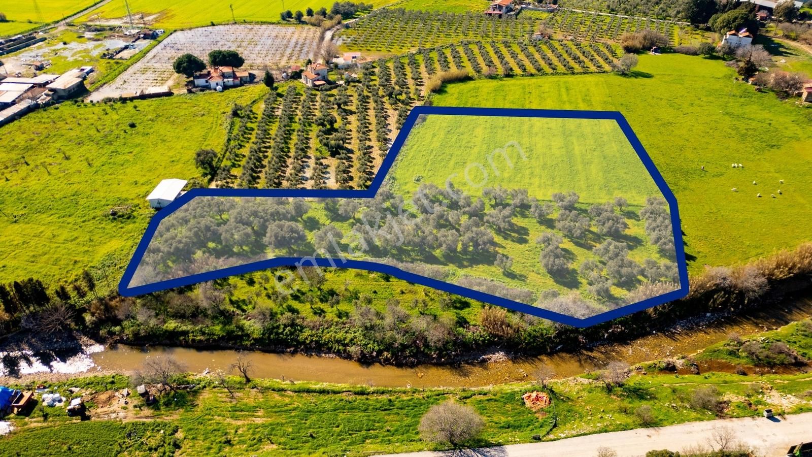 Foça Yenibağarası Mah. Satılık Tarla - Görsel 30