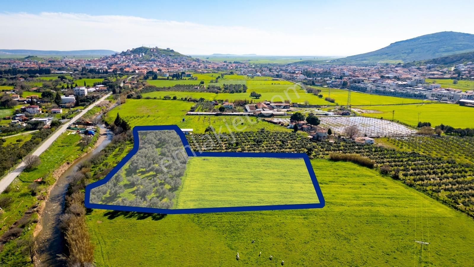 Foça Yenibağarası Mah. Satılık Tarla - Görsel 20