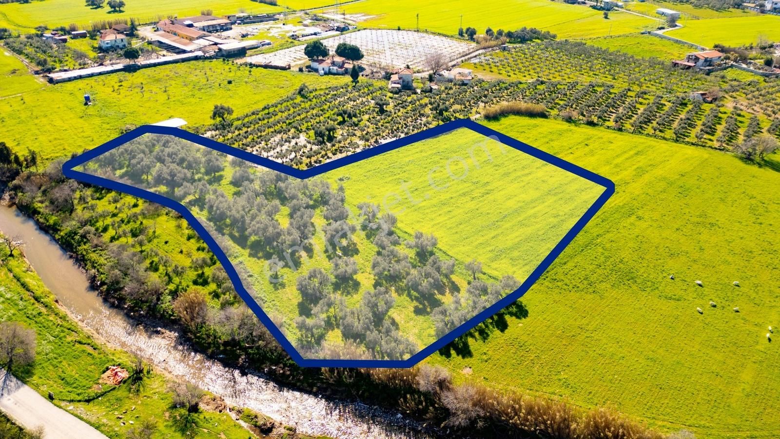 Foça Yenibağarası Mah. Satılık Tarla