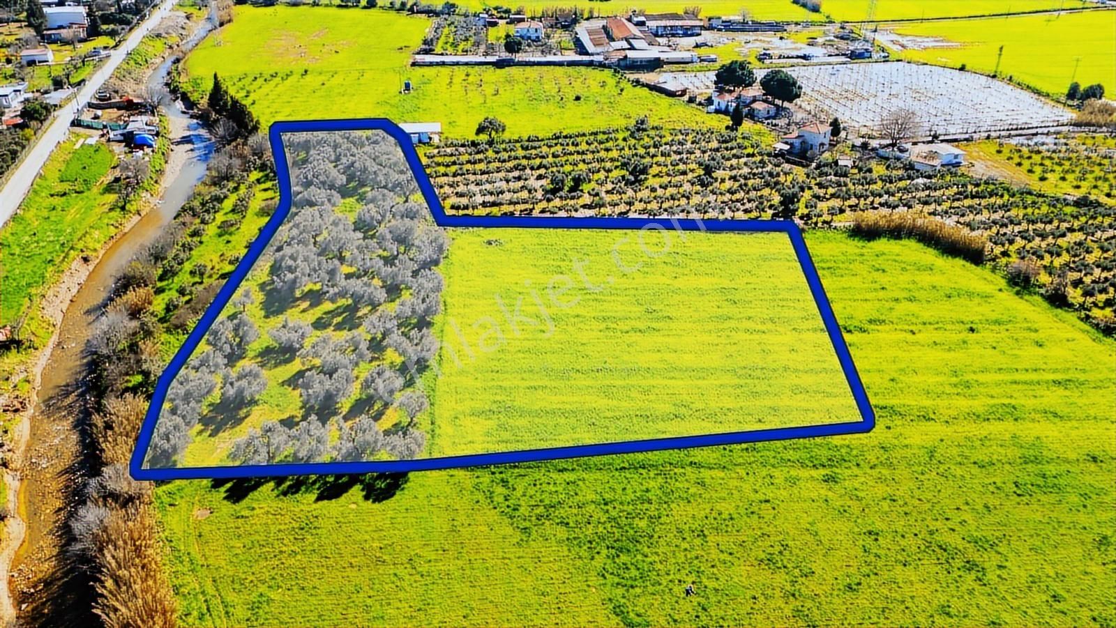 Foça Yenibağarası Mah. Satılık Tarla - Görsel 33