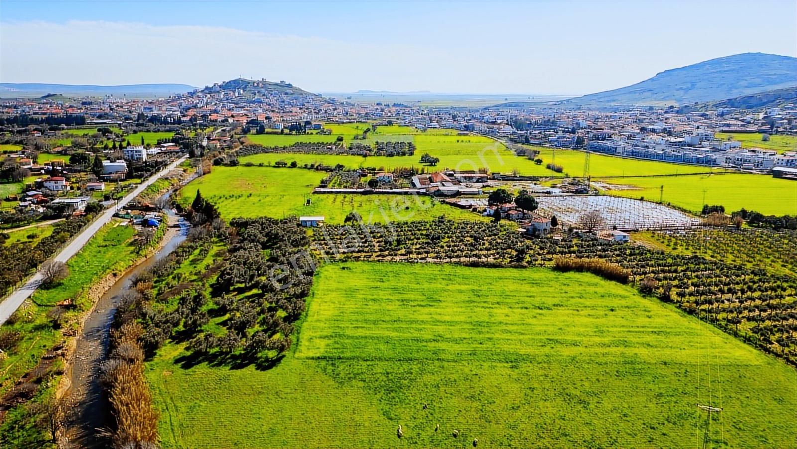 Foça Yenibağarası Mah. Satılık Tarla - Görsel 28