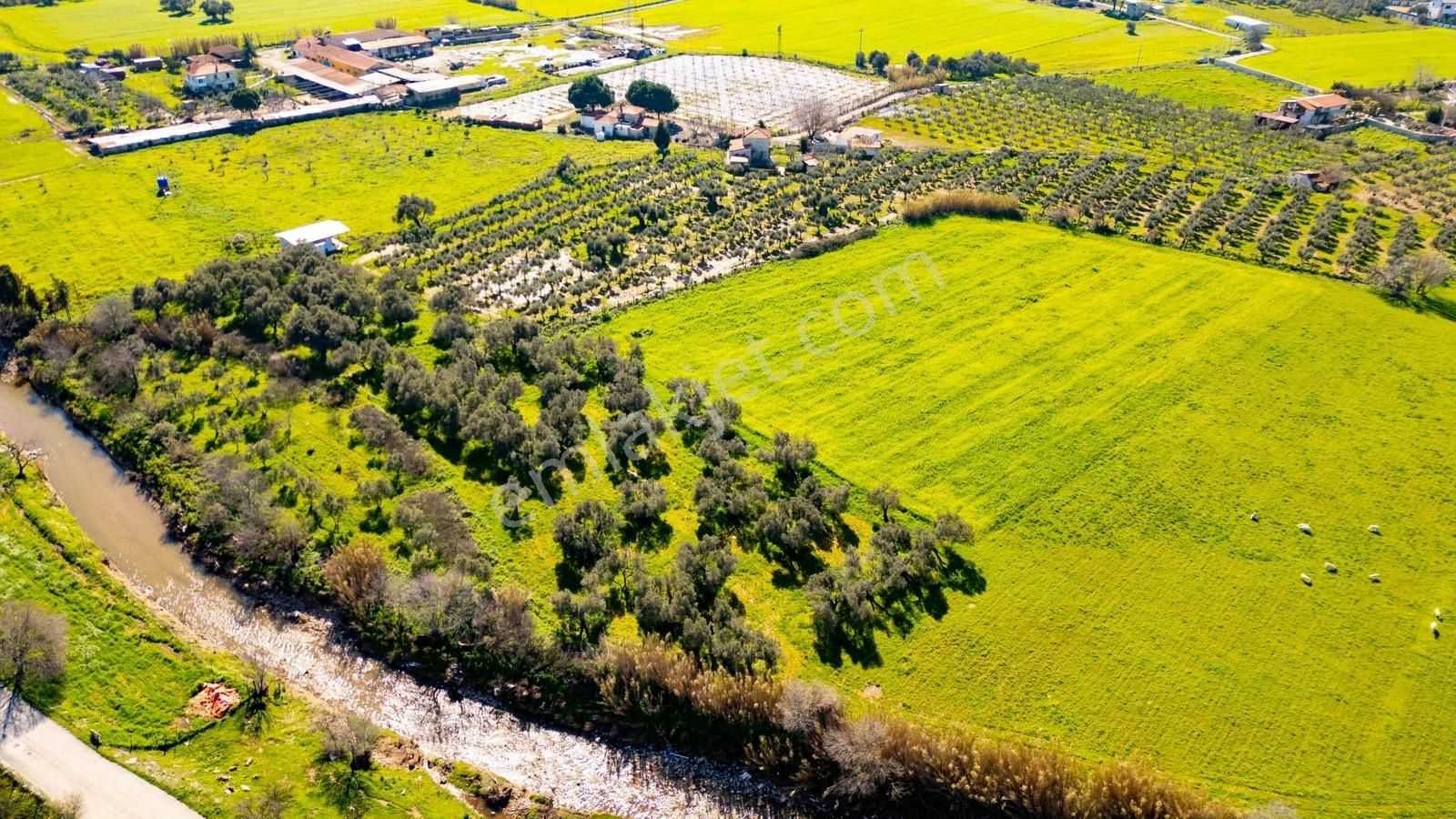 Foça Yenibağarası Mah. Satılık Tarla - Görsel 15