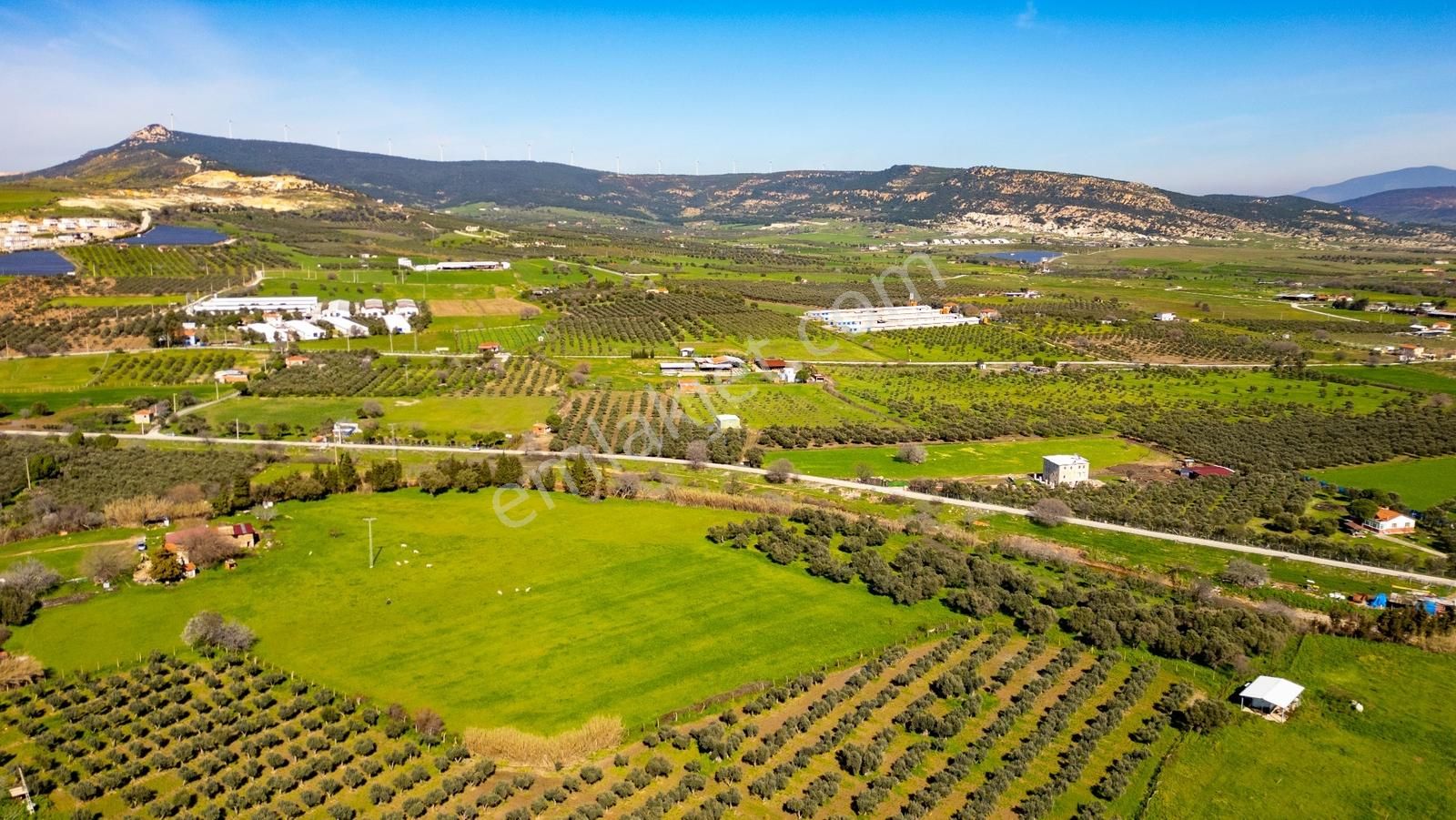 Foça Yenibağarası Mah. Satılık Tarla - Görsel 26