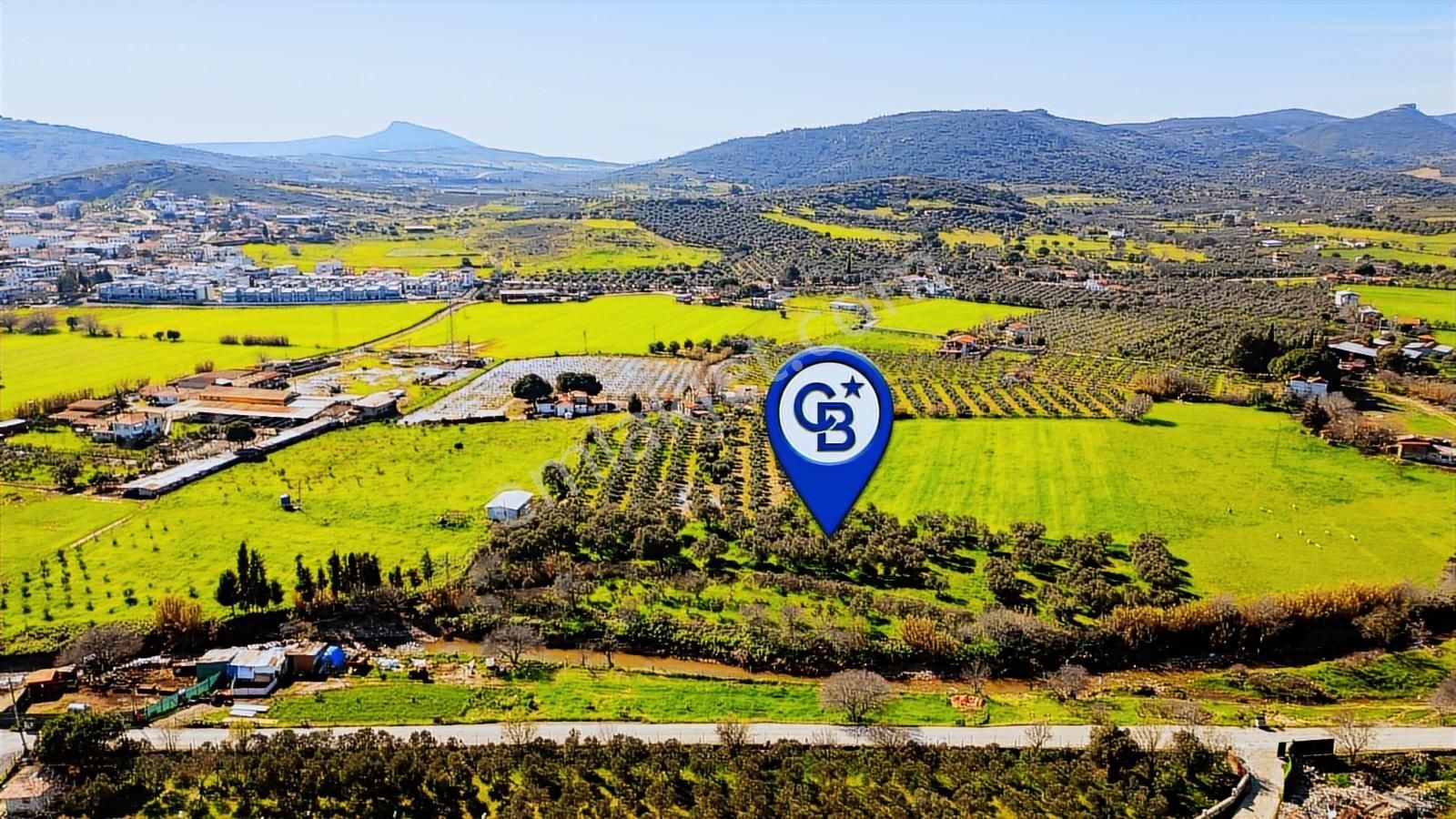 Foça Yenibağarası Mah. Satılık Tarla - Görsel 22