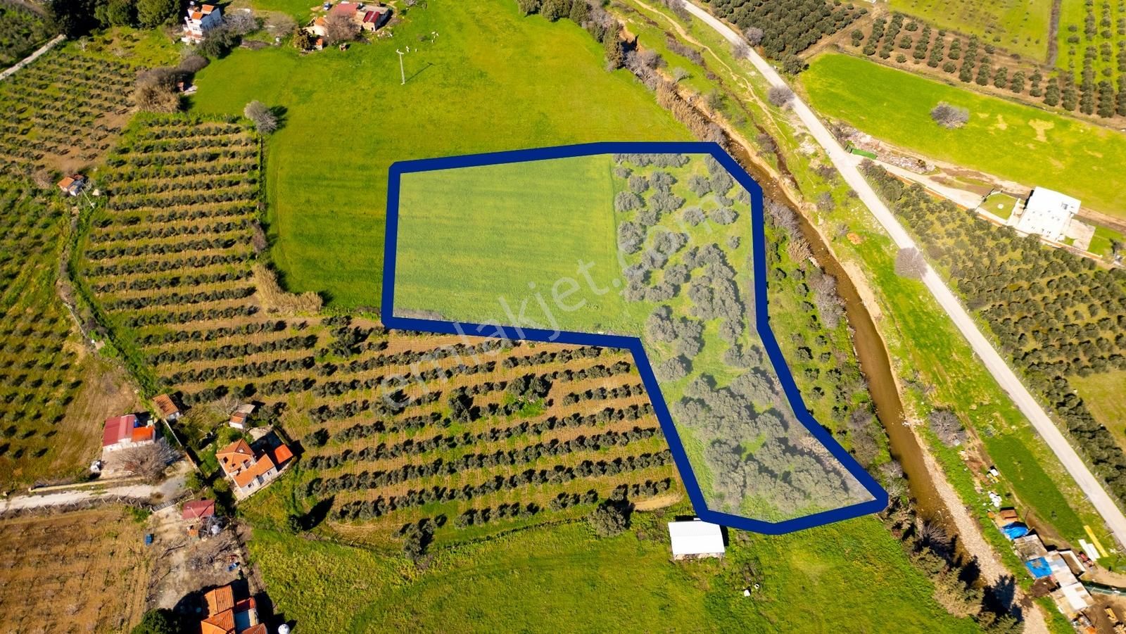 Foça Yenibağarası Mah. Satılık Tarla - Görsel 3