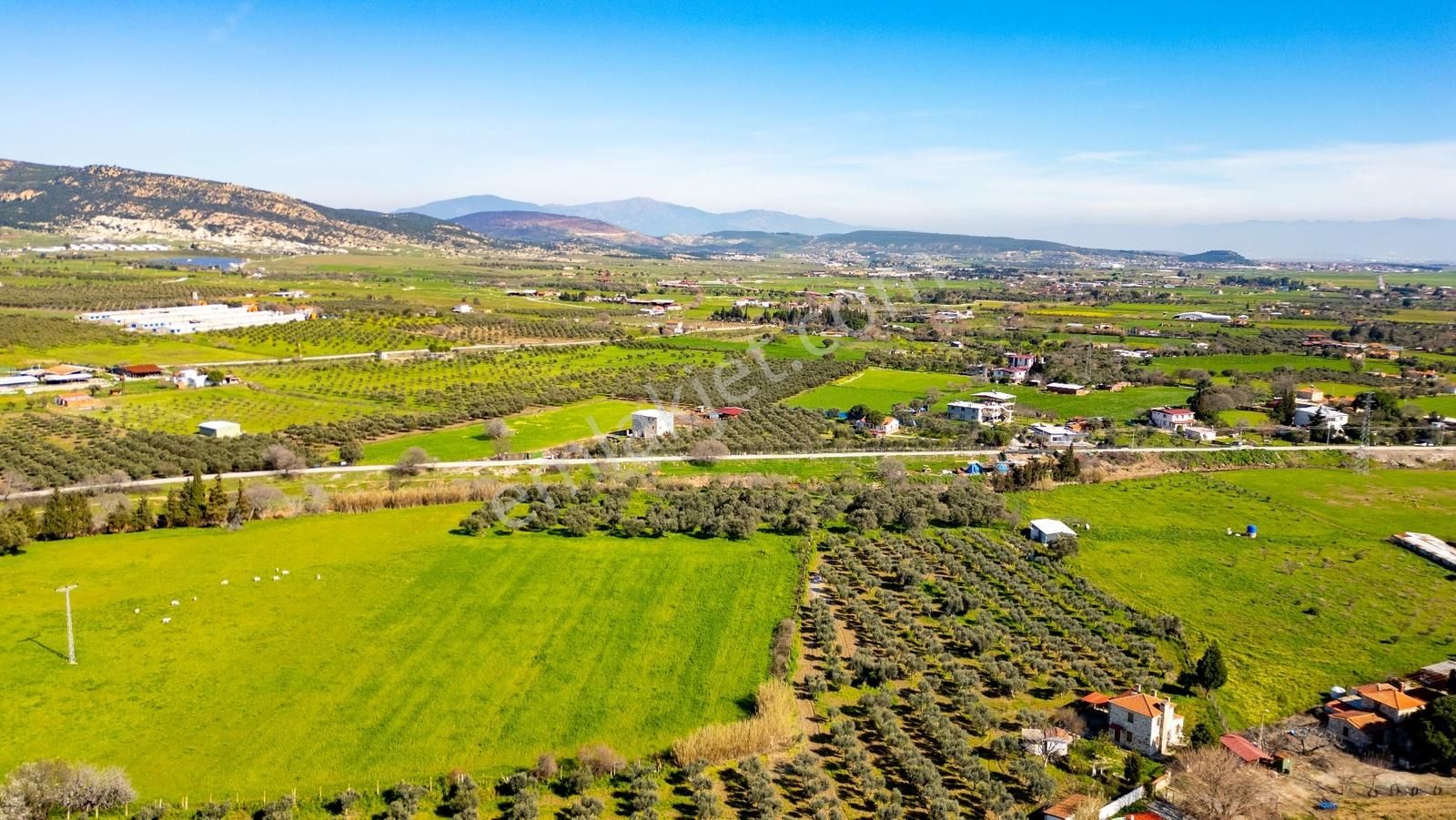 Foça Yenibağarası Mah. Satılık Tarla - Görsel 19