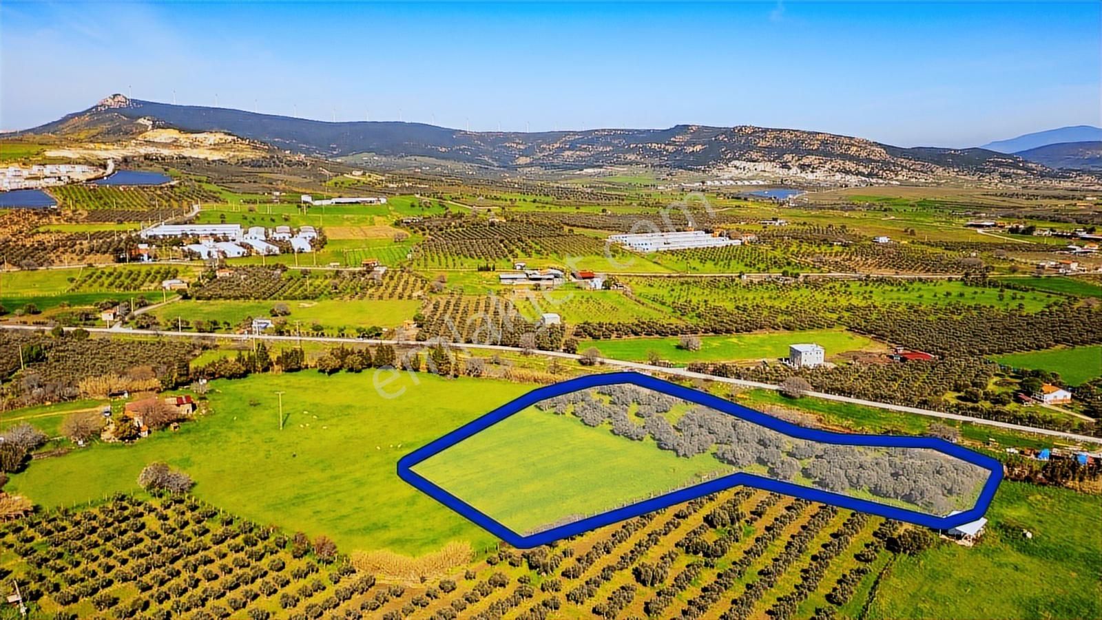 Foça Yenibağarası Mah. Satılık Tarla - Görsel 13