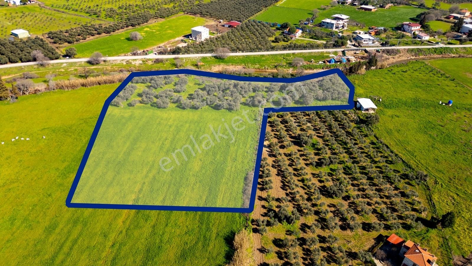 Foça Yenibağarası Mah. Satılık Tarla - Görsel 18