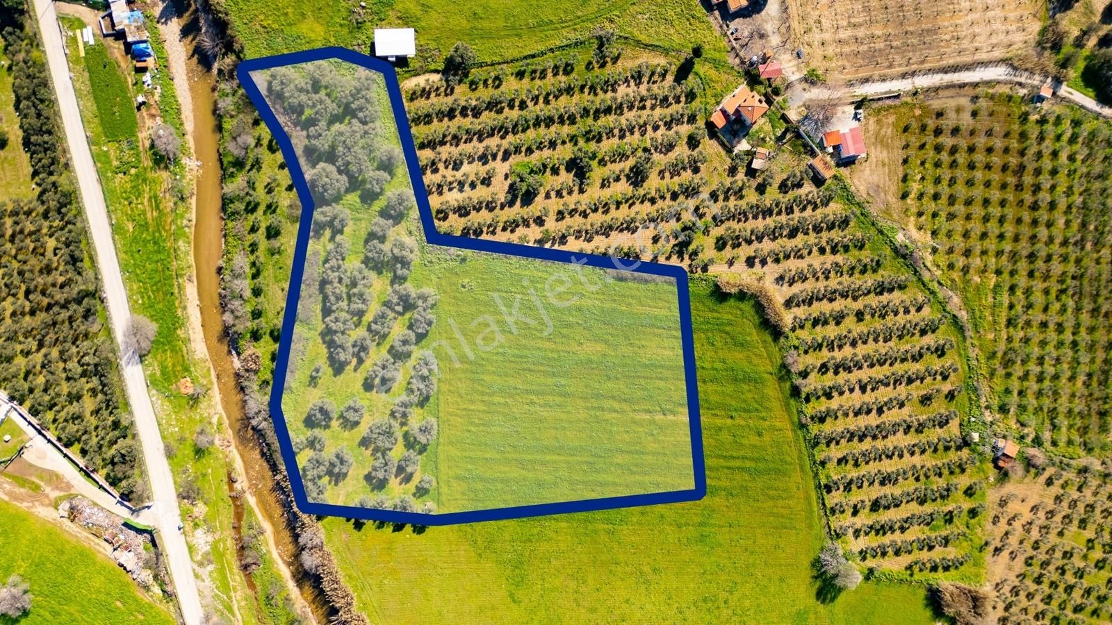 Foça Yenibağarası Mah. Satılık Tarla - Görsel 24