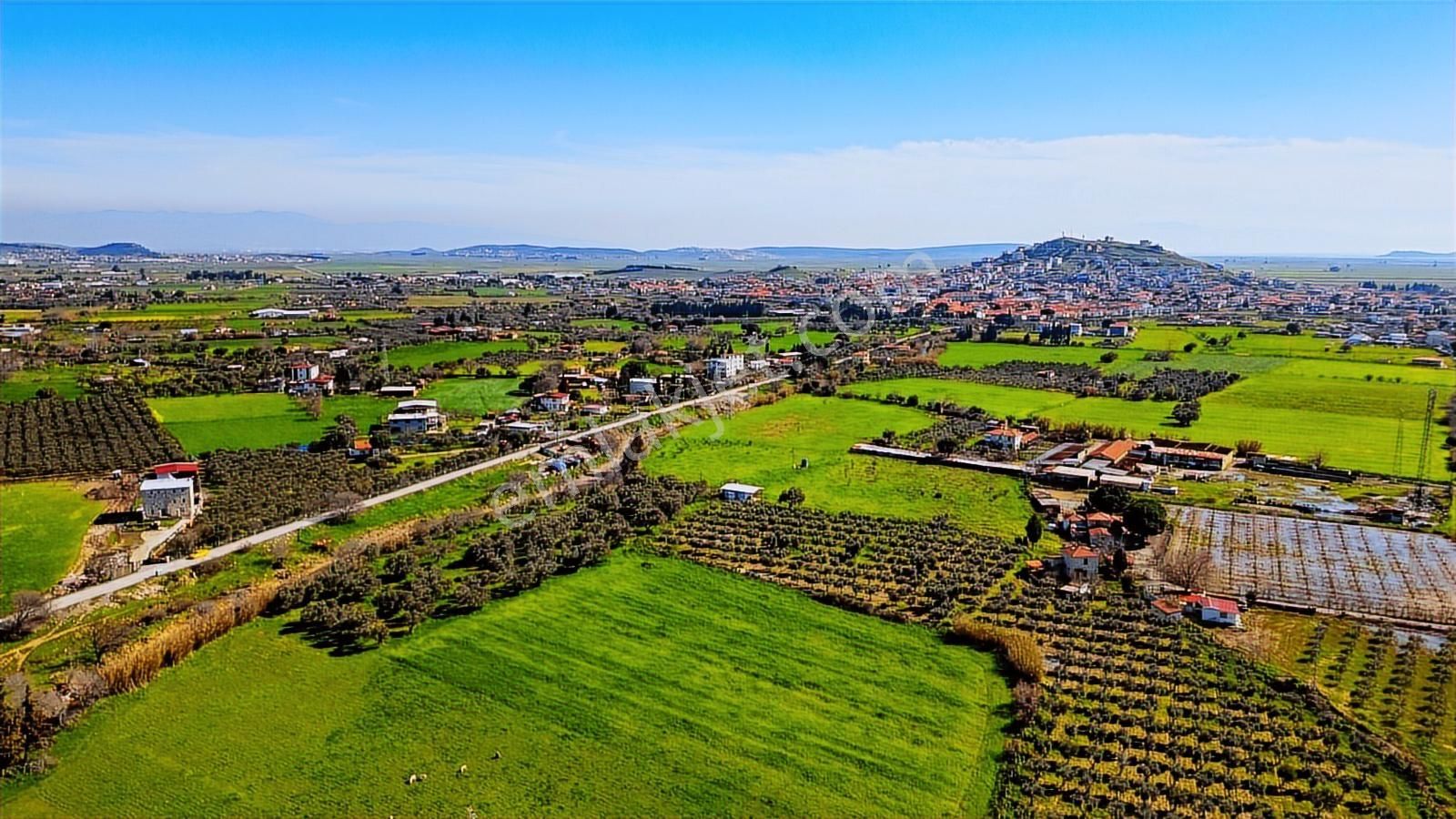 Foça Yenibağarası Mah. Satılık Tarla - Görsel 17