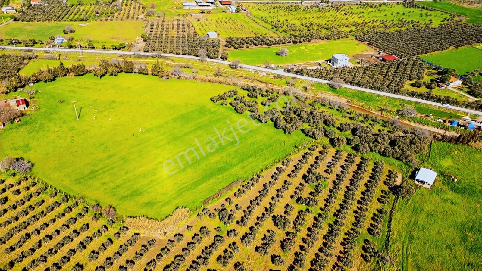 Foça Yenibağarası Mah. Satılık Tarla - Görsel 27