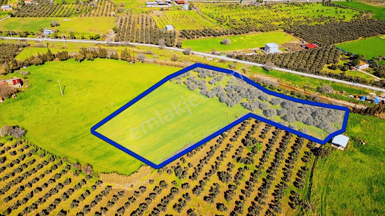 Foça Yenibağarası Mah. Satılık Tarla - Görsel 8