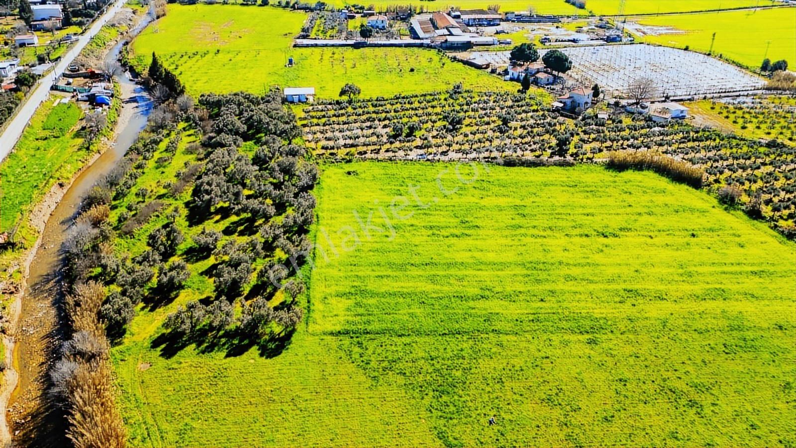 Foça Yenibağarası Mah. Satılık Tarla - Görsel 35