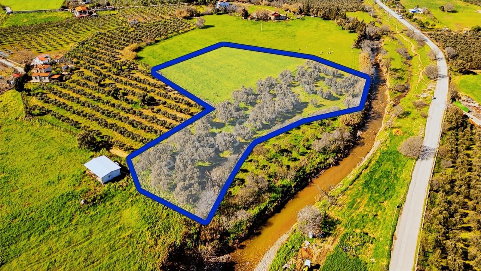 Foça Yenibağarası Mah. Satılık Tarla - Görsel 32