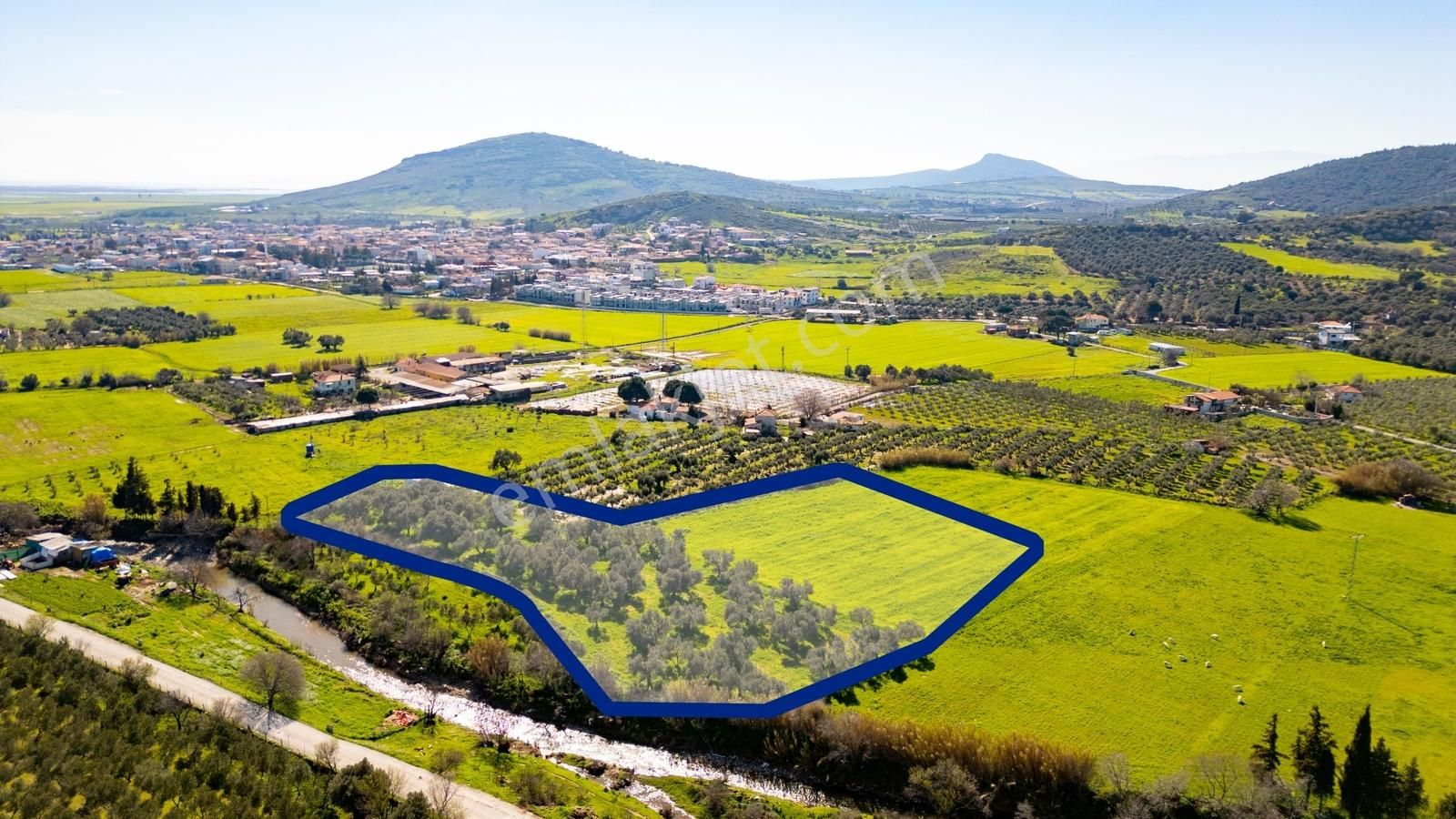 Foça Yenibağarası Mah. Satılık Tarla - Görsel 29