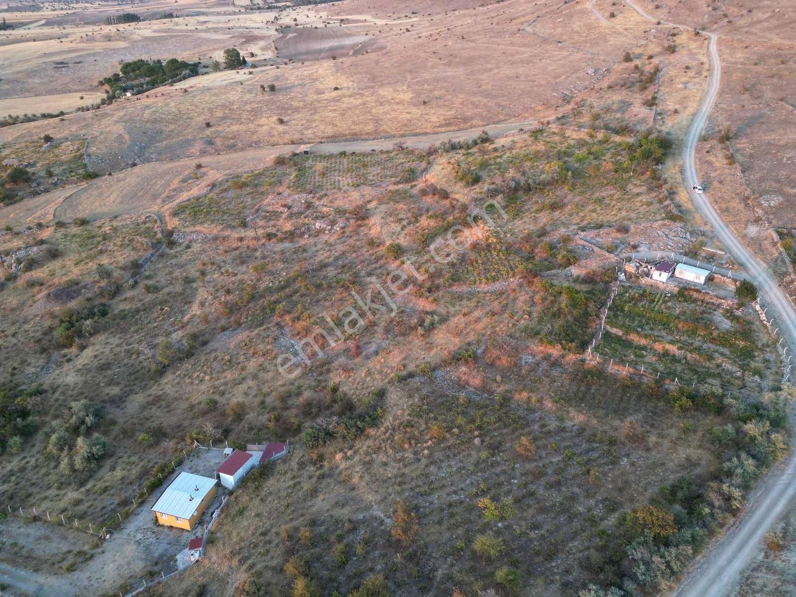 Gesi Büyük Bürüngüz De 1672 Metrekare Bağ Yolu Mevcut - Görsel 3