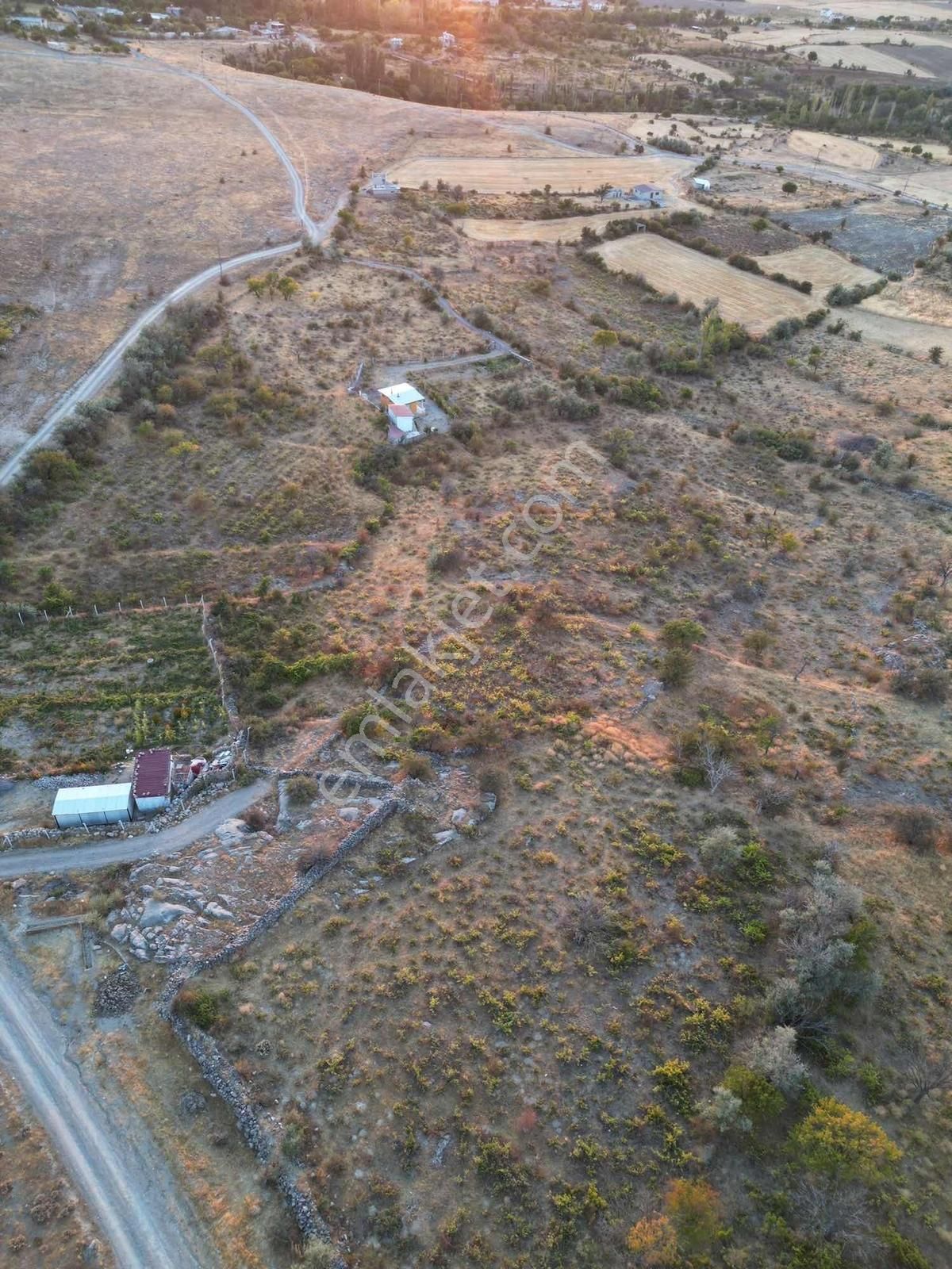 Gesi Büyük Bürüngüz De 1672 Metrekare Bağ Yolu Mevcut - Görsel 13