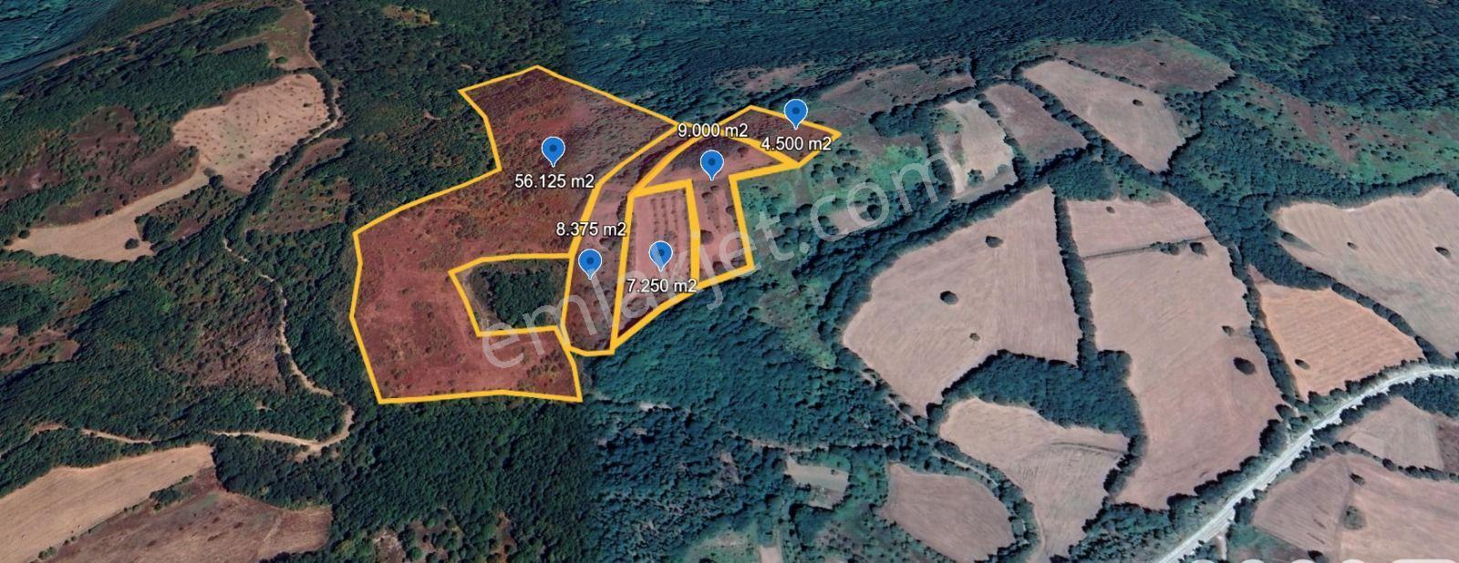 Çanakkale Yenice Taban Köyün'de Satılık 85.250 M² Tarla - Görsel 9