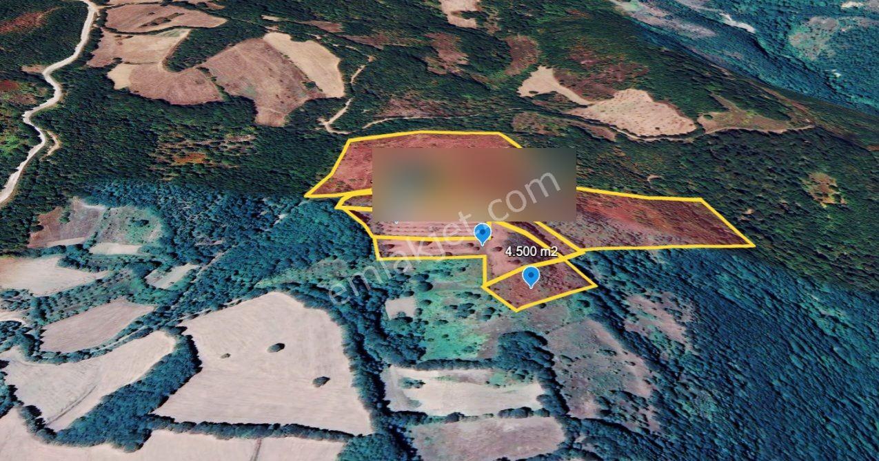 Çanakkale Yenice Taban Köyün'de Satılık 85.250 M² Tarla - Görsel 8
