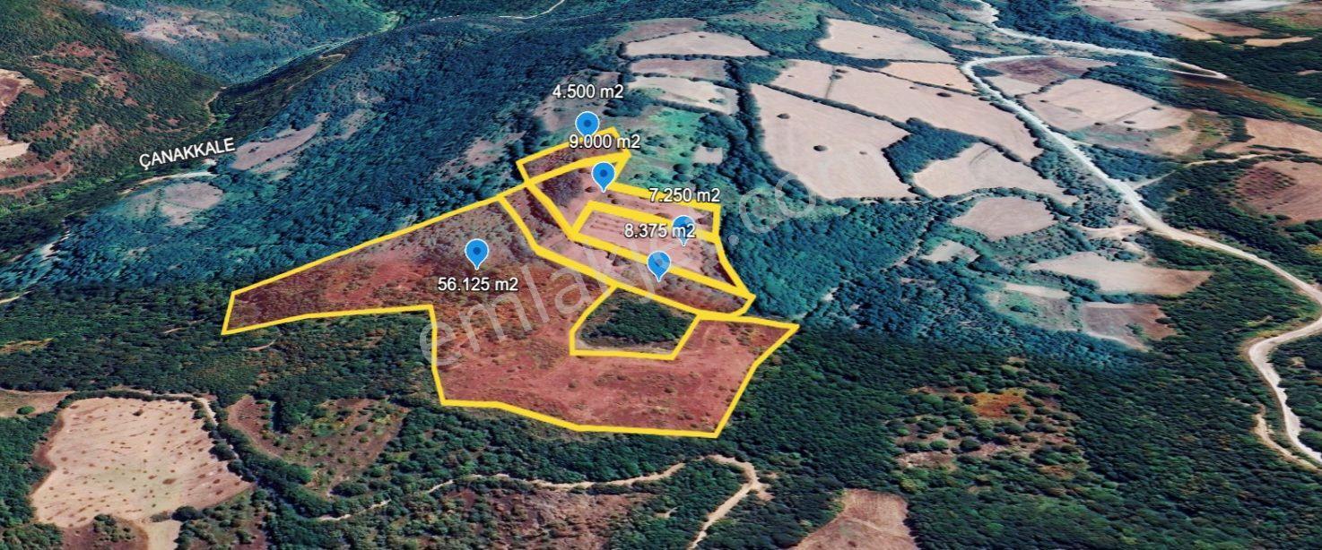 Çanakkale Yenice Taban Köyün'de Satılık 85.250 M² Tarla - Görsel 10
