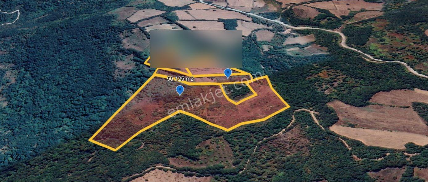 Çanakkale Yenice Taban Köyün'de Satılık 85.250 M² Tarla - Görsel 6