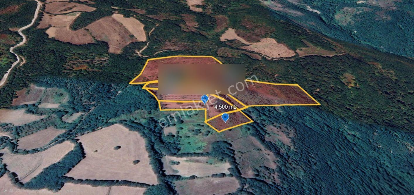 Çanakkale Yenice Taban Köyün'de Satılık 85.250 M² Tarla - Görsel 11