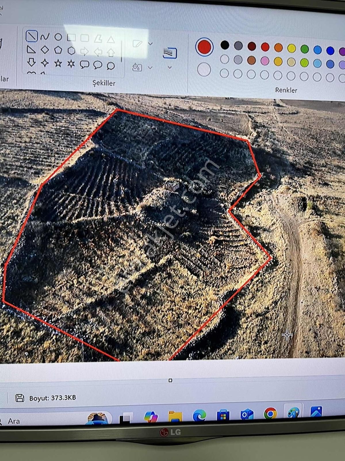 Gesi'de Mükemmel Konumlu Satılık Bağ - Görsel 8