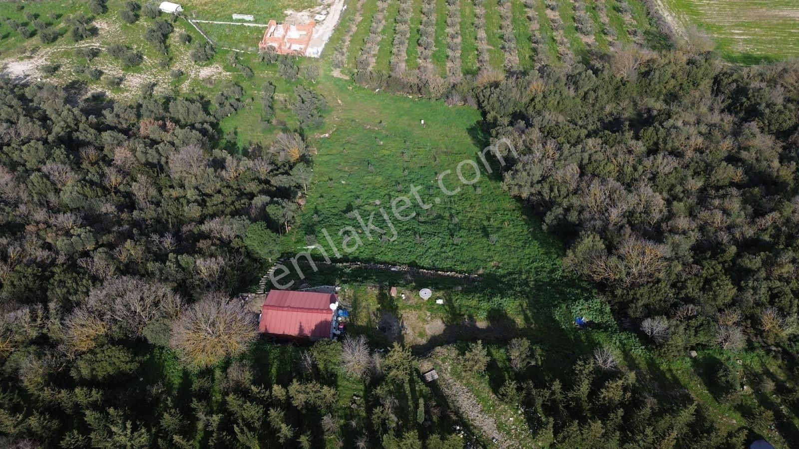 Bergama Kaşıkçı Mah'de 2.220 M² Satılık Tarla Ve Müstakil Ev - Görsel 16