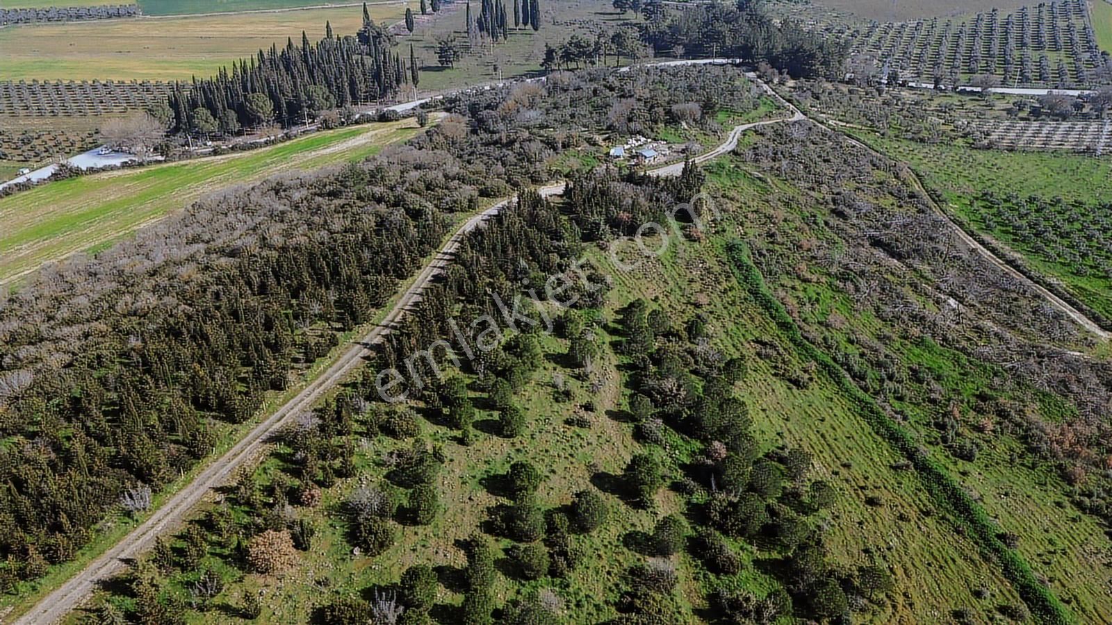 Bergama Kaşıkçı Mah'de 2.220 M² Satılık Tarla Ve Müstakil Ev - Görsel 9