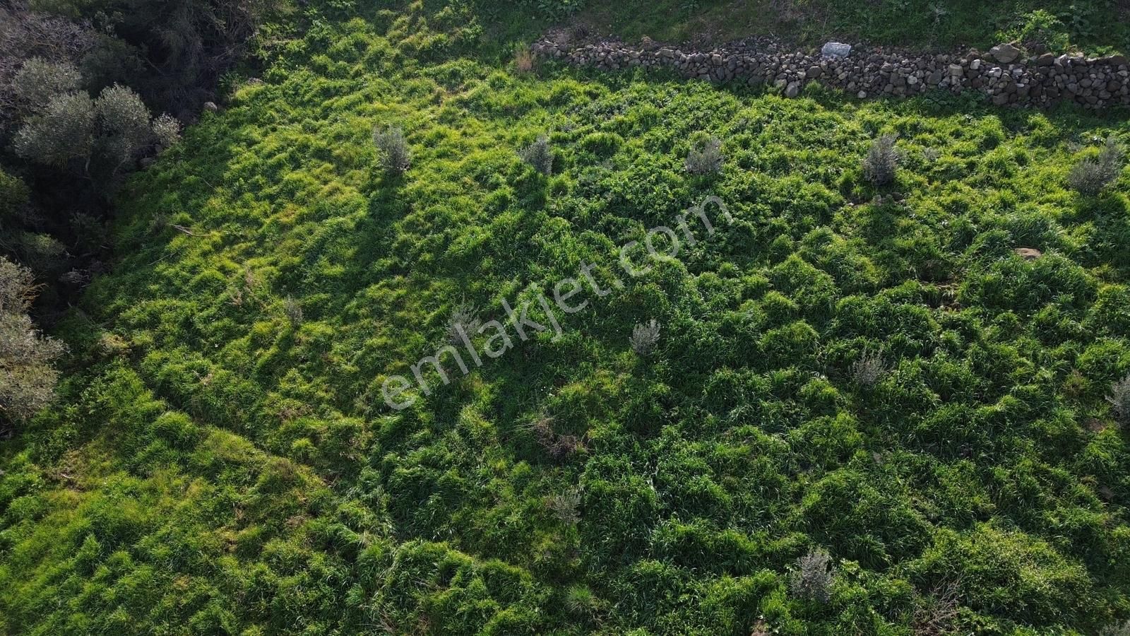 Bergama Kaşıkçı Mah'de 2.220 M² Satılık Tarla Ve Müstakil Ev - Görsel 31