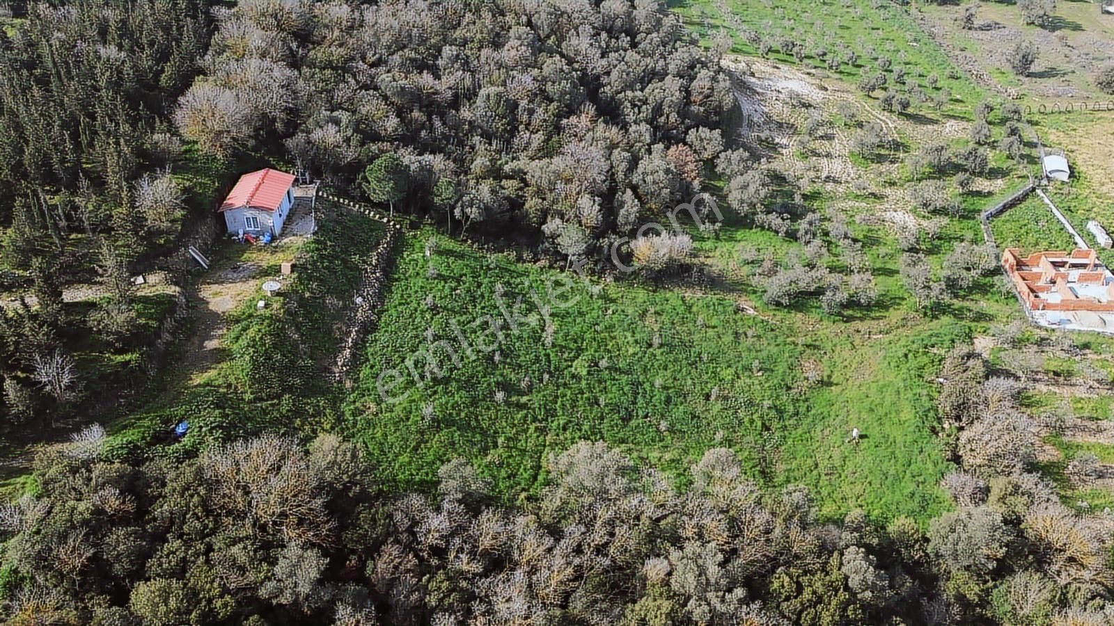 Bergama Kaşıkçı Mah'de 2.220 M² Satılık Tarla Ve Müstakil Ev - Görsel 11