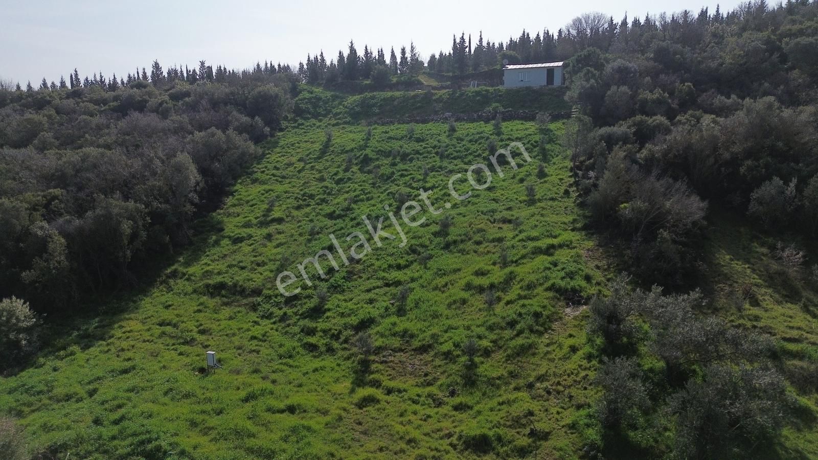 Bergama Kaşıkçı Mah'de 2.220 M² Satılık Tarla Ve Müstakil Ev - Görsel 19