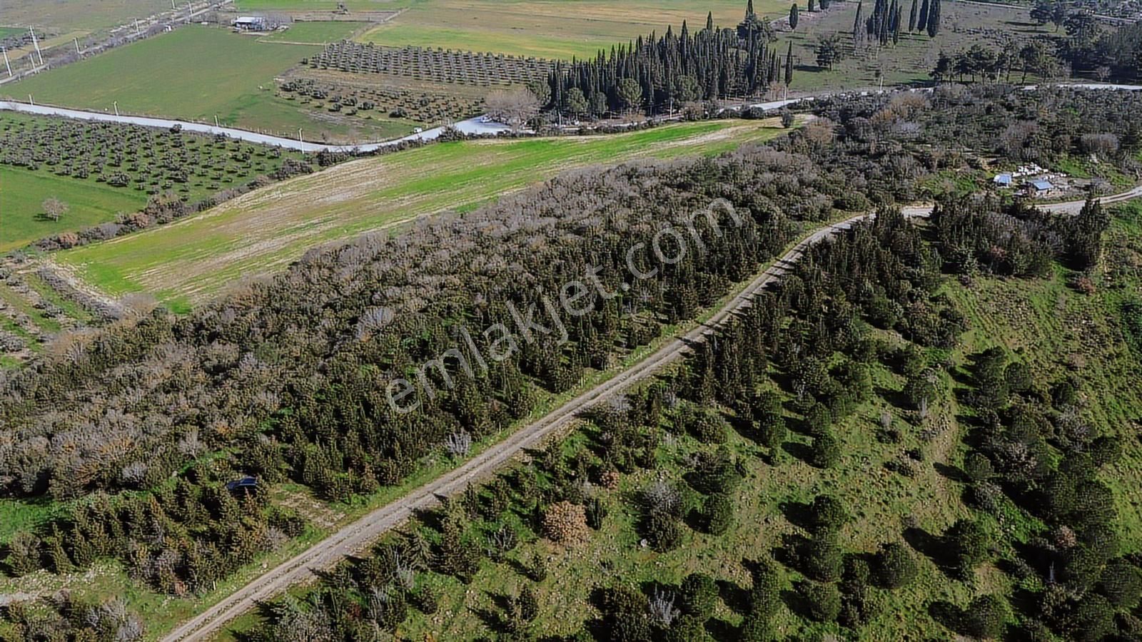 Bergama Kaşıkçı Mah'de 2.220 M² Satılık Tarla Ve Müstakil Ev - Görsel 5