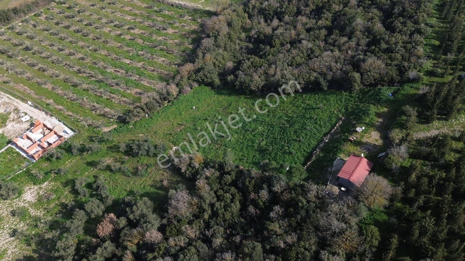 Bergama Kaşıkçı Mah'de 2.220 M² Satılık Tarla Ve Müstakil Ev - Görsel 14