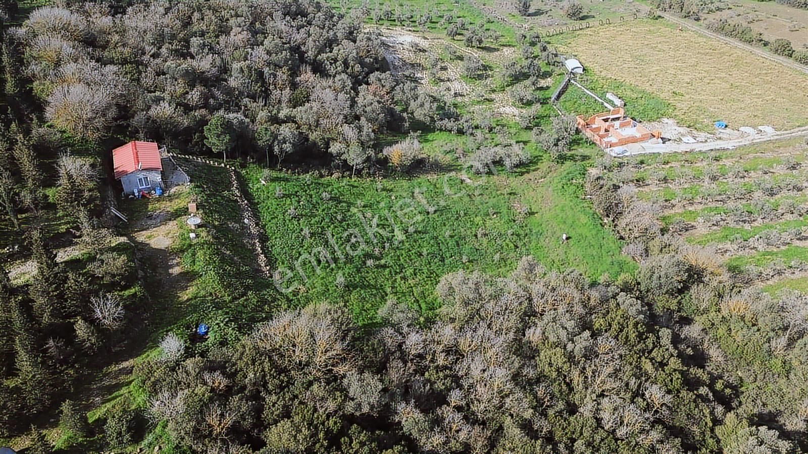 Bergama Kaşıkçı Mah'de 2.220 M² Satılık Tarla Ve Müstakil Ev - Görsel 27