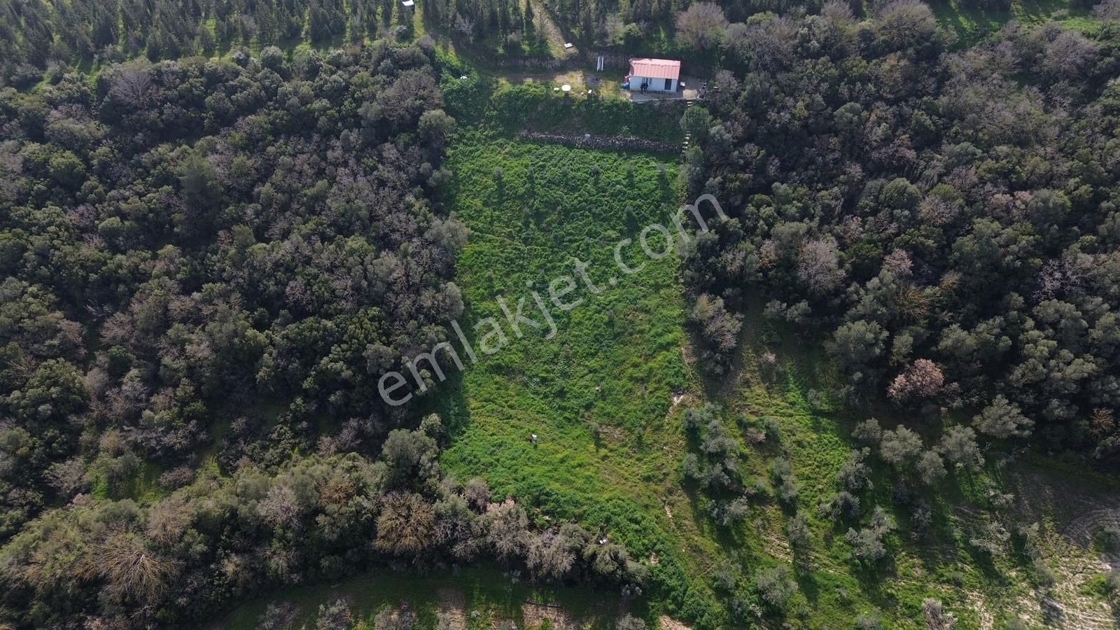 Bergama Kaşıkçı Mah'de 2.220 M² Satılık Tarla Ve Müstakil Ev - Görsel 17