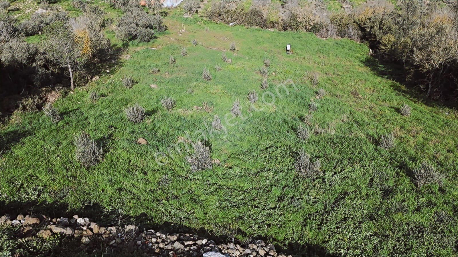 Bergama Kaşıkçı Mah'de 2.220 M² Satılık Tarla Ve Müstakil Ev - Görsel 15