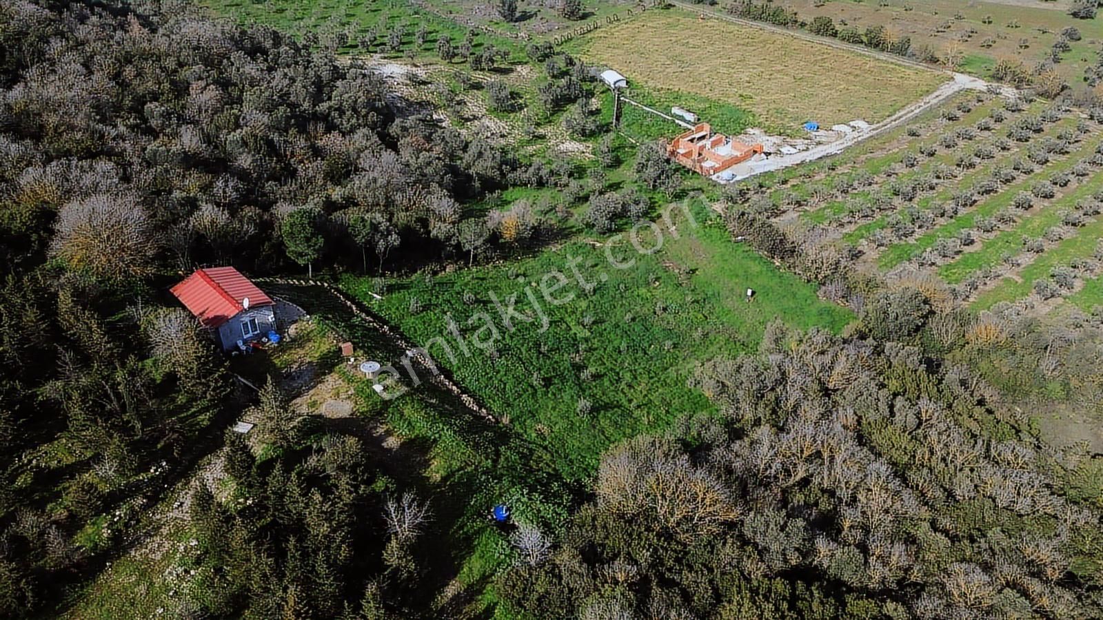 Bergama Kaşıkçı Mah'de 2.220 M² Satılık Tarla Ve Müstakil Ev - Görsel 13