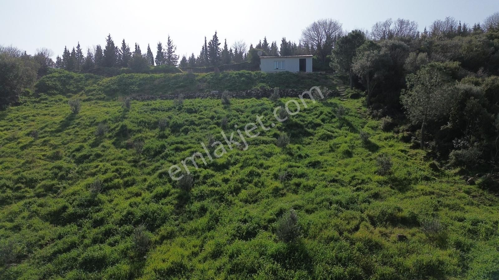 Bergama Kaşıkçı Mah'de 2.220 M² Satılık Tarla Ve Müstakil Ev - Görsel 18