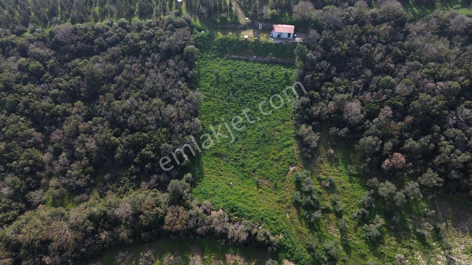 Bergama Kaşıkçı Mah'de 2.220 M² Satılık Tarla Ve Müstakil Ev - Görsel 3