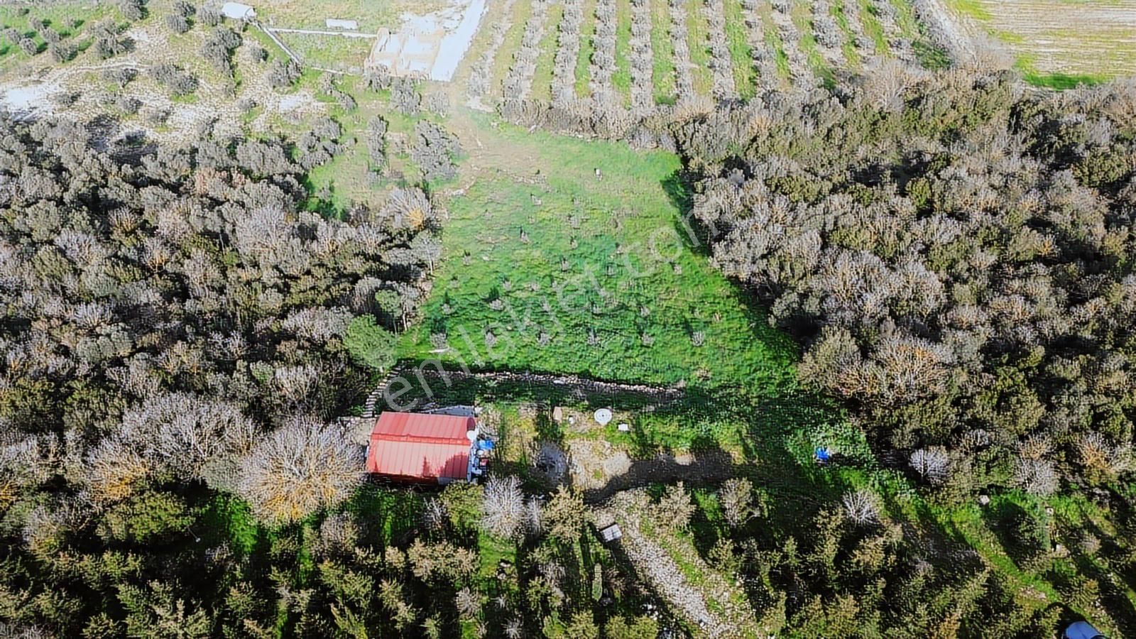 Bergama Kaşıkçı Mah'de 2.220 M² Satılık Tarla Ve Müstakil Ev - Görsel 10