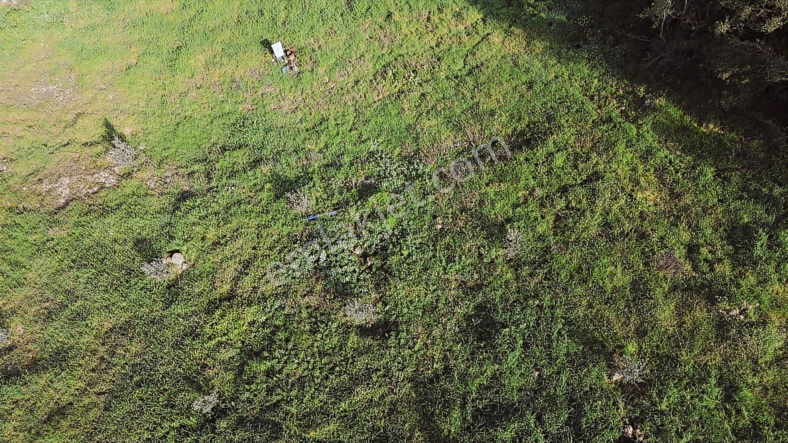 Bergama Kaşıkçı Mah'de 2.220 M² Satılık Tarla Ve Müstakil Ev - Görsel 21