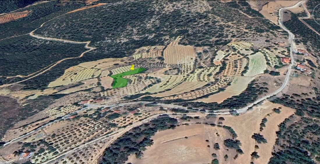 Menteşe Sungur Mahallesı 2354 M2 Satılık Tarla - Görsel 5